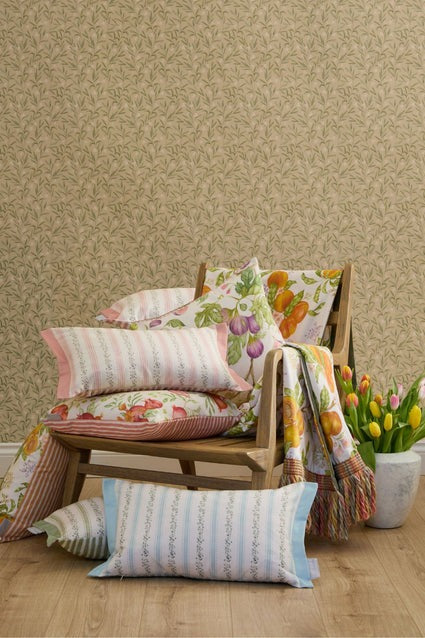 The Solstice Collection